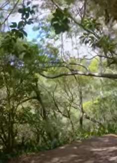 美丽夏威夷：让人心旷神怡的美景