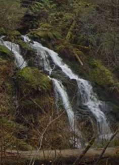 森林瀑布：飞流直下三千尺