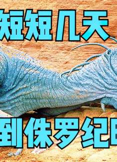 单细胞仅用8天就进化到侏罗纪时代