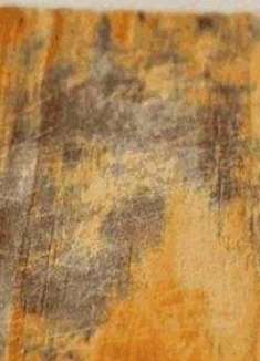 菜板上滴几滴，不管多脏多黑，都能瞬间干净如新，用再久都不发霉