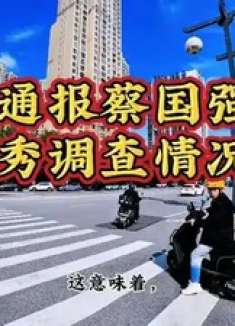 官方通报蔡国强烟花秀调查情况