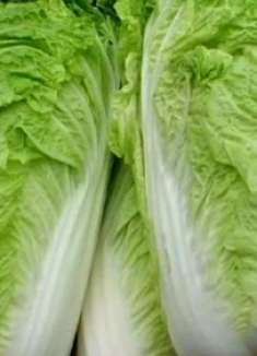 保存白菜时，放地上就错了！菜农教你一招，放一年都不会坏