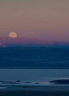 诗词里的元宵，浪漫的星月童话