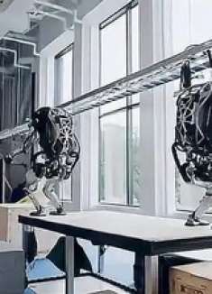 机器人已经悄无声息的开始占据社会大量的工作岗位