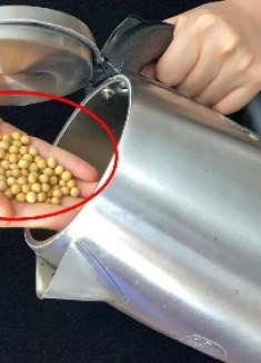 把黄豆装进电热水壶里，真是厉害，可惜今天才学会，赶紧试一试