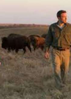 通往仙境 ：温柔的爆发与灰烬