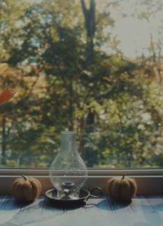 意境秋天：生活在「枫叶」生命的轮回里