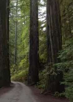 美丽风景，让人陶醉不已