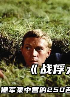 二战真实事件，250名战俘一起越狱，各显神通