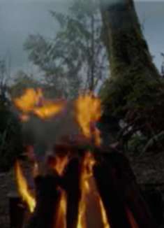 湖畔篝火：让人难以忘怀的美景