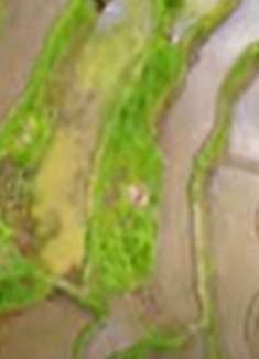 巴厘岛：梦幻美景，不容错过