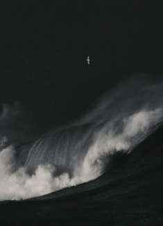 黑白冲浪大片，寂静海浪与温柔民谣