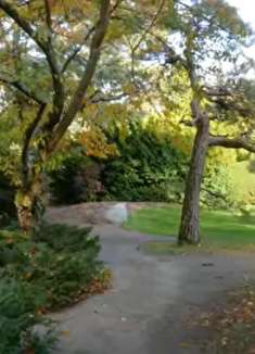 华盛顿州美景：秋天的美丽，让人陶醉