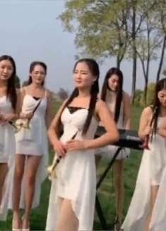 十个美女演奏一曲《一壶老酒》个个是高手，曲美人美！