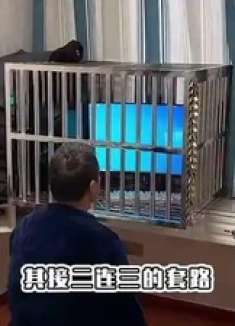 小杨哥直播带货有多搞笑看完之后笑出八块腹肌！