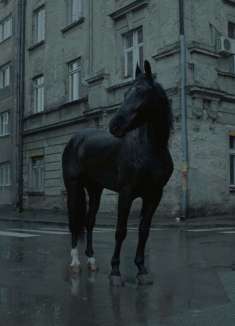 沉重情感下的轻盈旋律「失重」