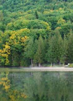 自然放松视频，让人心旷神怡