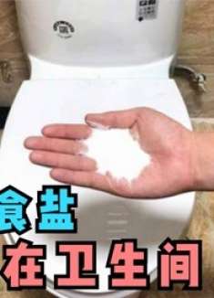 厕所撒一把食盐，真是太聪明了，一年省下好几百，家家都用得到