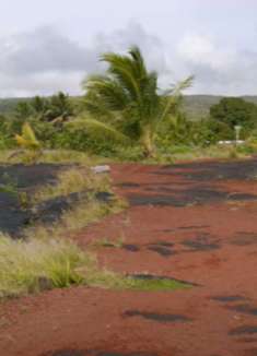 夏威夷：令人难以置信的多样性