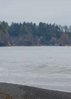 奥林匹克国家公园：全新美景，快来欣赏