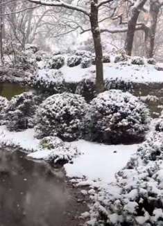 伯尔尼：美丽瑞士，感受不一样的大雪美景