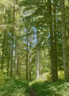 铁马州立公园：享受自然带来的美好