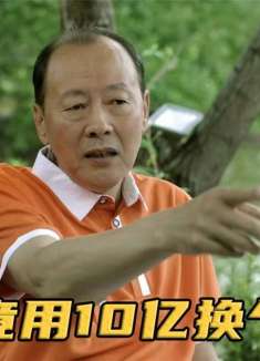 体制内的权力到底多值钱？10个亿换一个处长职位，到底是亏是赚？