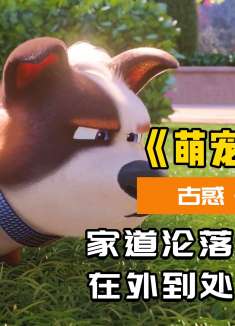 女主人去世后，在外流浪的贵族狗，能否找到爱它的新主人？喜剧片