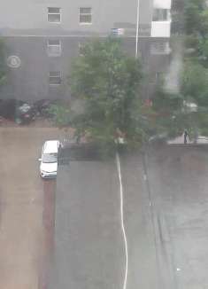 暴雨天不出门，宅家做顿黄焖鸡！三伏天太适合发面了蒸馒头超简单