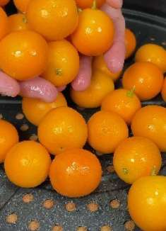 冬天气候干燥，把金桔上锅蒸一蒸，没想到作用这么大，又香又好吃