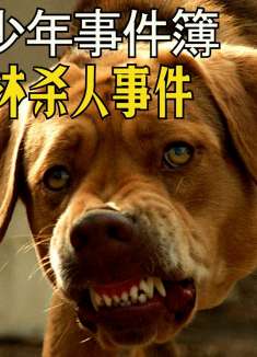 与狗王的智力对决！解开谜一般的死亡讯息！《魔犬森林杀人事件》