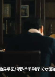 退休的副部级岳母一句话，就帮女婿从副厅级升级成正厅级