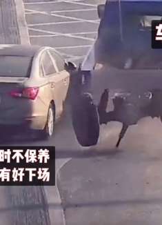 搞笑配音：车轱辘成精了，盘点车轱辘是怎样驯服人类的