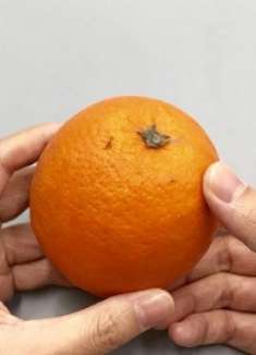 橙子别再用手剥了,试试这个方法,不脏手不流汁,干净又完整