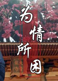 小龙女：即使与整个妖族为敌，也改变不了我想留在你身边的决心