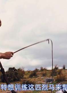 有些情感 只有在一起经历了很多 才能感受到他的厚重