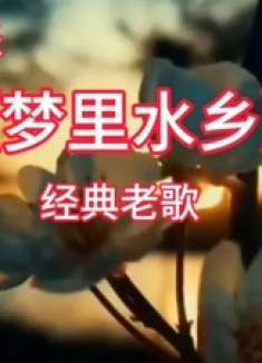 《梦里水乡》经典老歌，唯美花朵与夕阳的浪漫邂逅