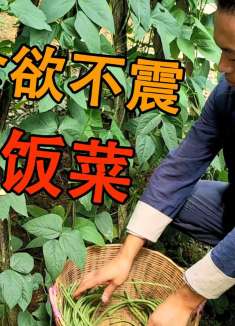 专治食欲不震的下饭菜，上学上班没有食欲的话带上它，让你胃口大开