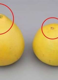 柚子买尖的还是圆的好？牢记5个诀窍，柚子个个皮薄肉多，快学学