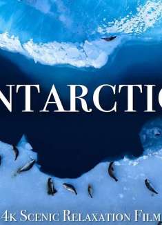 南极洲 4K--有平静音乐的风景放松片