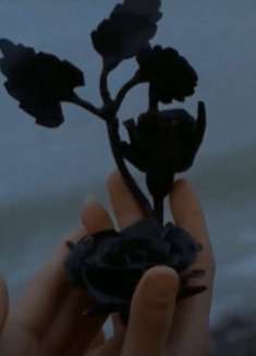 就算你置身险境，我也奋不顾身