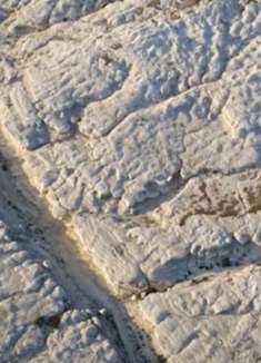 哈萨克斯坦：美不胜收，不容错过