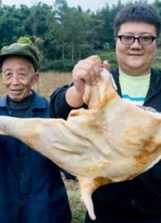 天冷了买了一只羊腿，做一个红柳枝羊肉串，再给阿公熬一个鱼羊鲜