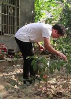 妻子打工3年回家，给丈夫50万后直接离婚，丈夫傻了，结局感人