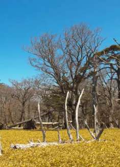 人间仙境：绝美大台原