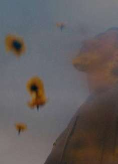 「当我自由时」，像一朵阳光下的向日葵