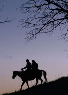 顶流剧集回归，「最后生还者」热血混剪