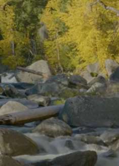 韦纳奇河：美不胜收，不容错过