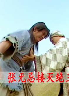 张无忌接灭绝师太三掌，前两掌被打到吐血，最后一掌却稳如泰山！