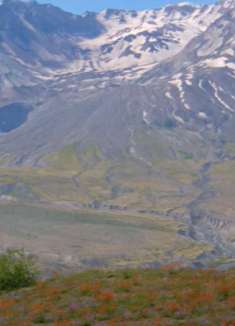 华盛顿美国：感受不一样的异域美景